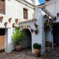 Another Plaza at Cordoba 