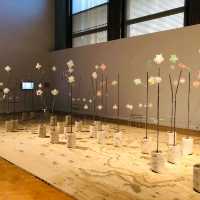 History Tour of Museum in Chicago 
