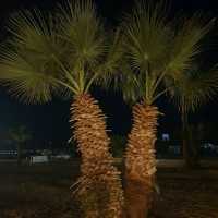 Pensee Royal Garden in Marsa Alam Egypt