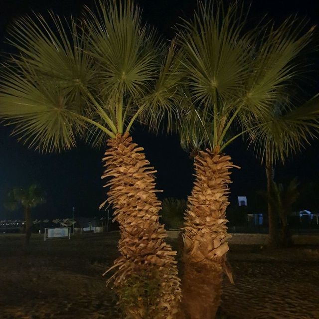 Pensee Royal Garden in Marsa Alam Egypt