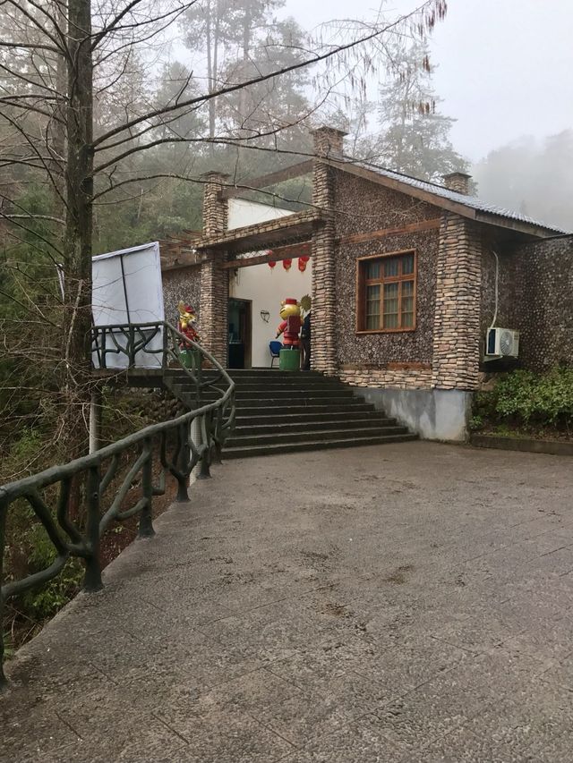 산 꼭대기에서 부터 이어지는 끊임없는 폭포의 향연, 신룡곡(神龙谷)