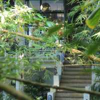 哥斯达黎加5星級瑪坎達海邊酒店