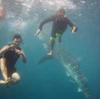 Cebu Philippines 🇵🇭 adventure 2018