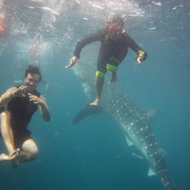 Cebu Philippines 🇵🇭 adventure 2018