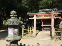 世界文化遺產日本春日大社
