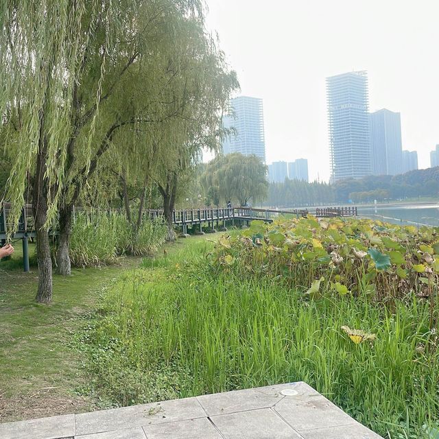 Shangxian river wetlands 