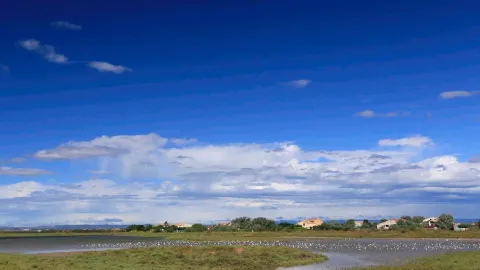 Camargue Regional Natural Park, France, United Nations Biosphere Reserve — traveler post in Arles