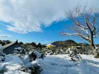 【Kyoto · Kinkaku-ji Temple in Snow · 2023】