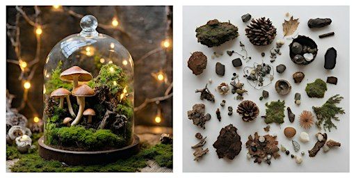 ART WORKSHOP: Magic Terrarium | Waikahe Art & Design LLC