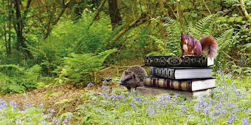 Storytelling with Jim Grant | Northumberlandia