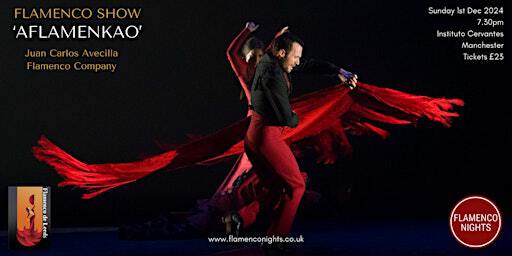 Flamenco Show in Manchester: Aflamenkao by Juan Carlos Avecilla | Instituto Cervantes - Manchester