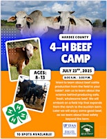 Hardee County 4-H Day Camp: Beef Camp | 507 Civic Center Dr