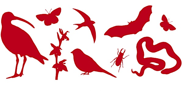 The Red List | Robinswood Hill Country Park