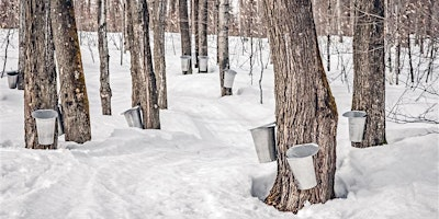 Cold Creek Maple Syrup Fest 2026 | Cold Creek Conservation Area