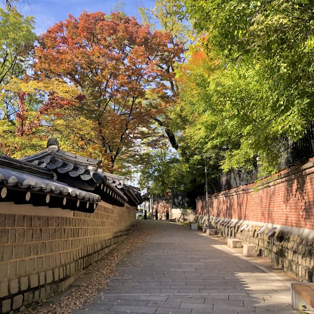 가을을 듬뿍 느낄 수 있는 곳 🍁