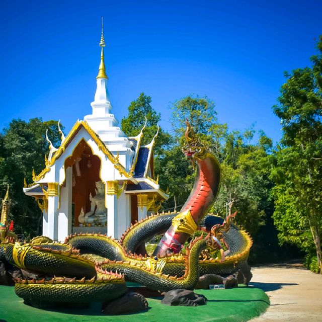 วัดป่าไผ่เจริญสมณะกิจ