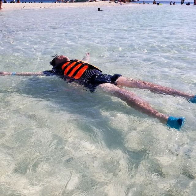 宿霧🏝️夢幻小島 一島一Resort 宿霧🏝️夢幻小島 一島一Resort