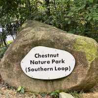 Chestnut Nature Park