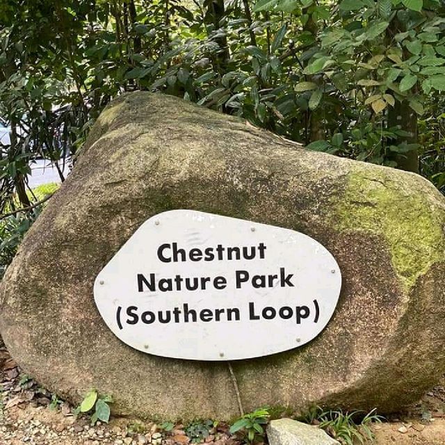 Chestnut Nature Park