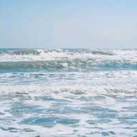 Nice beach resort in cool area