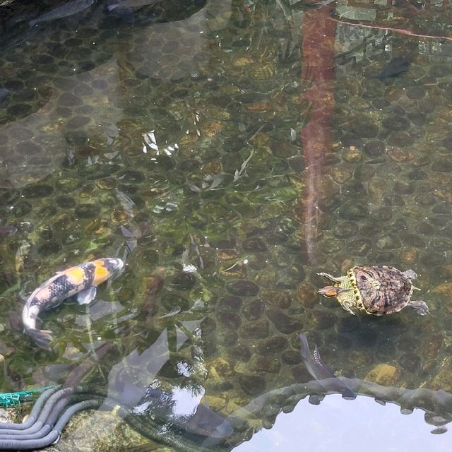 香港好去處 ～ 上環荷李活道公園 