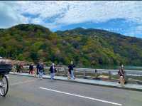 京都　KYOTO SAKURAめぐり❗️渡月橋から嵐山公園中之島地区まで散策してみた！
