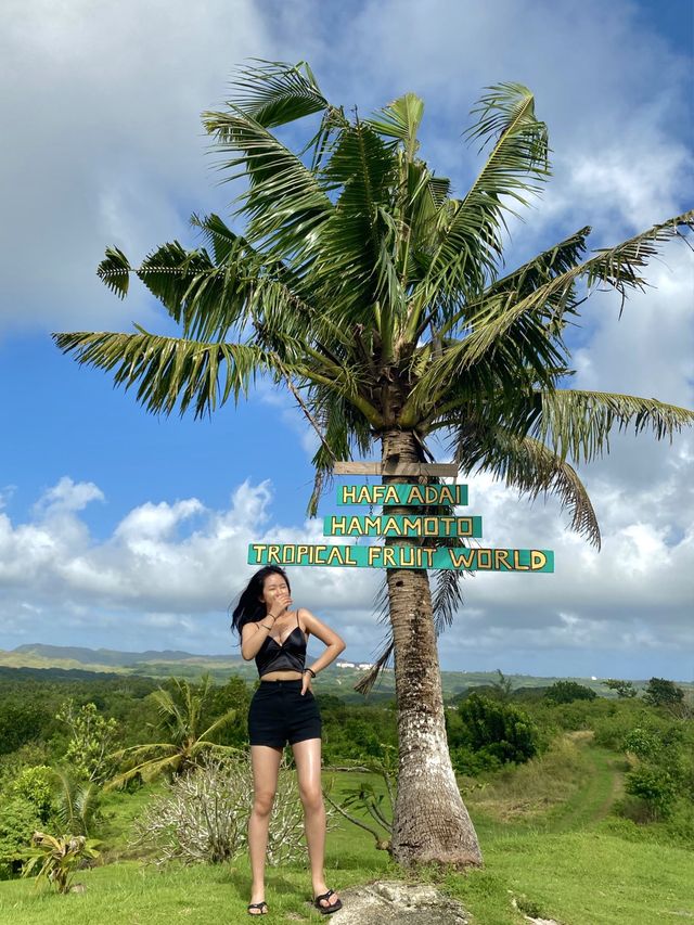 쇼핑청국 블랙프라이데이에 들른 미국령 괌여행!🏝