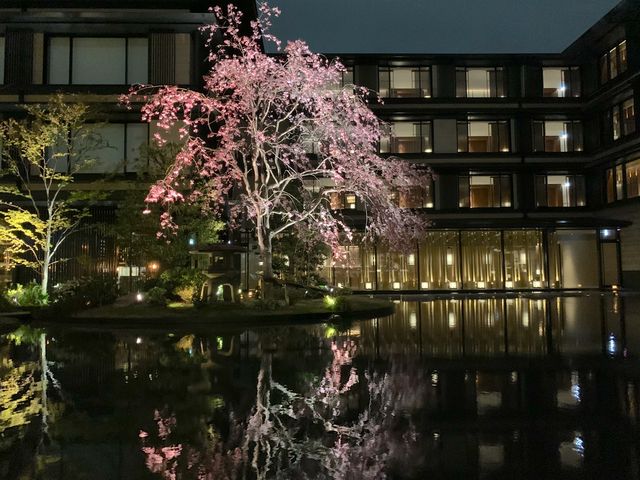 京都　ラグジュアリーホテル　HOTEL THE MITSUI  KYOTOのライトアップが凄すぎた❗️