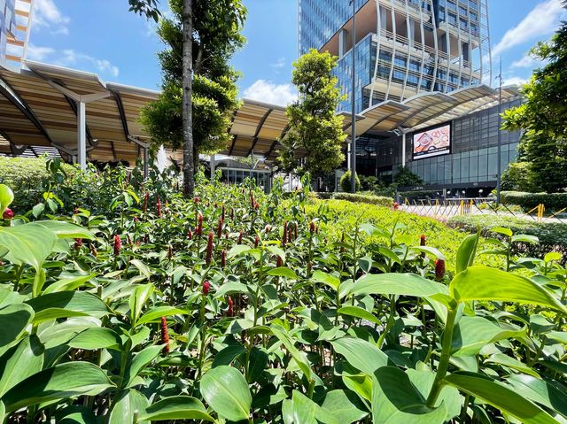 Garden atrium