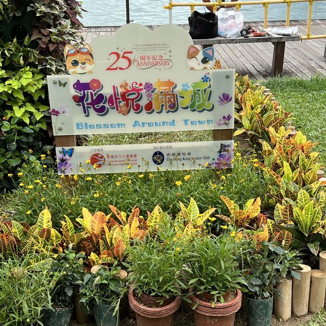 賞花必到～花悅滿城！