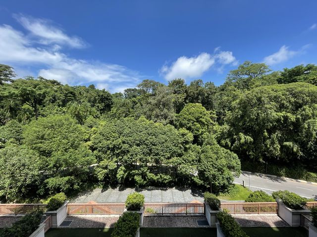 Gorgeous greenery