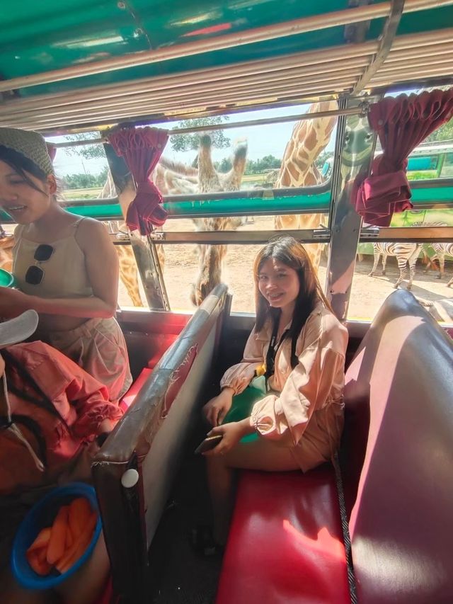 สวนสัตว์เปิดซาฟารีปาร์ค กาญจนบุรี