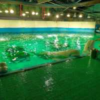 動物たちとふれあい体験もできる水族館！