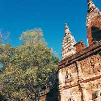 ไหว้พระวัดเจ็ดยอด@เชียงใหม่