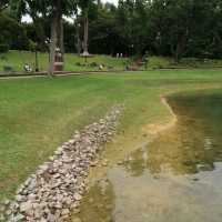 MacRitchie Nature Park