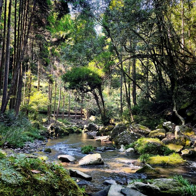 【熊本県】水のカーテンでマイナスイオンを浴びる！
