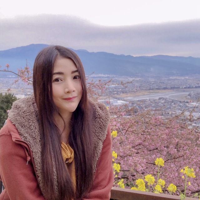 “Matsuda Cherry Blossom Festival” 🌸