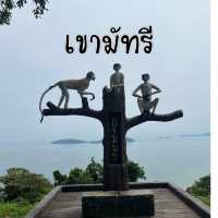 🪴 จุดชมวิวเขามัทรี จ.ชุมพร 🪴