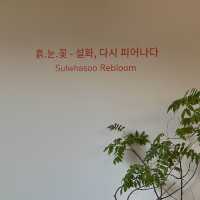 흙.눈.꽃 설화 다시 피어나다