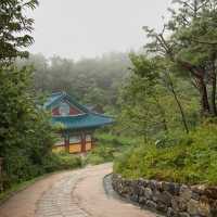 바다가 보이는 절, 낙산사🪷🌊