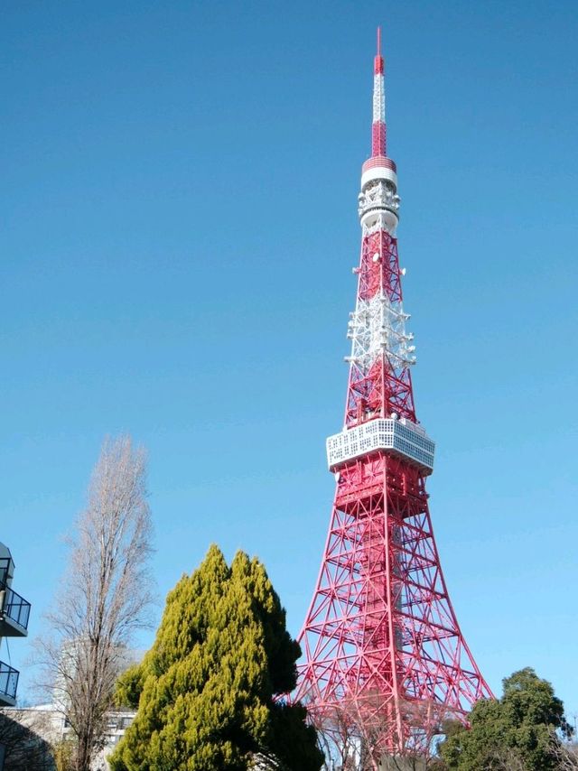 東京鐵塔下片片紅葉