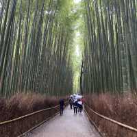 日本貴族的別苑所在地 – 京都嵐山(竹林道和龜山公園)