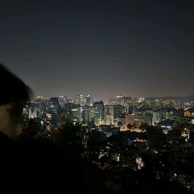 밤의 낙산공원, 로맨틱 그 잡채...🌃