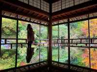 【和倉】映え映えな写真が撮れる「青林寺」
