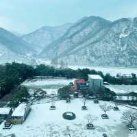 단양 숙소 (리조트) 소노문 