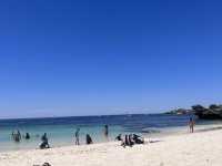 Rottnest Island! Parakeet Bay! 📸😎