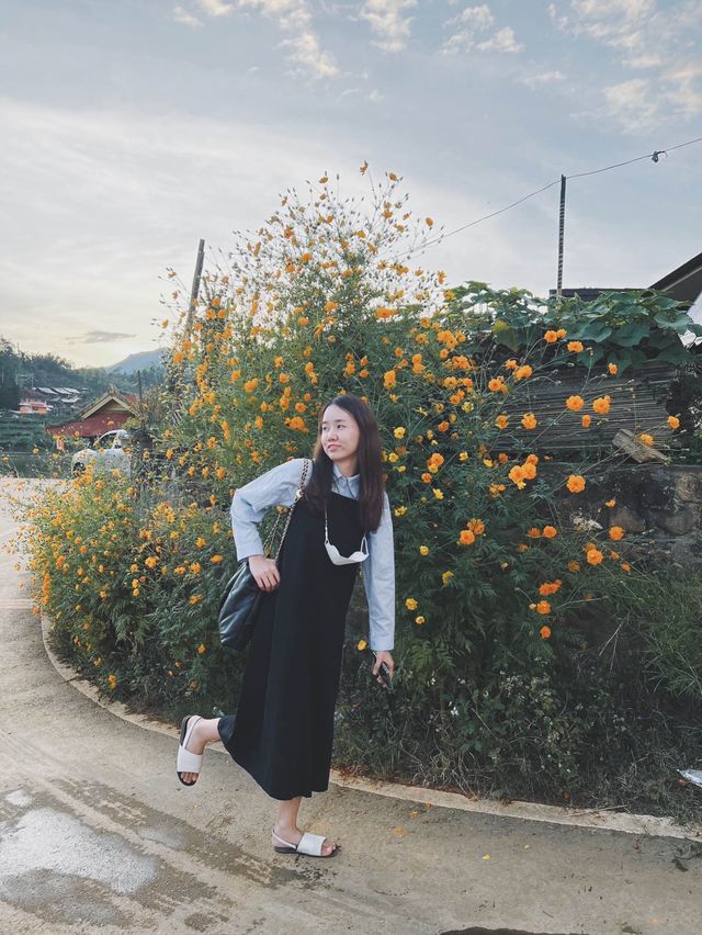 หนาวนี้ที่ บ้านรักไทย แม่ฮ่องสอน