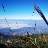 กิ่วแม่ปาน​ เส้นทางธรรมชาติ​ คนลุยๆ⛰️