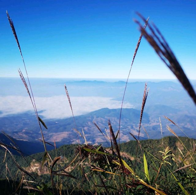 กิ่วแม่ปาน​ เส้นทางธรรมชาติ​ คนลุยๆ⛰️