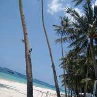 panglao island beach